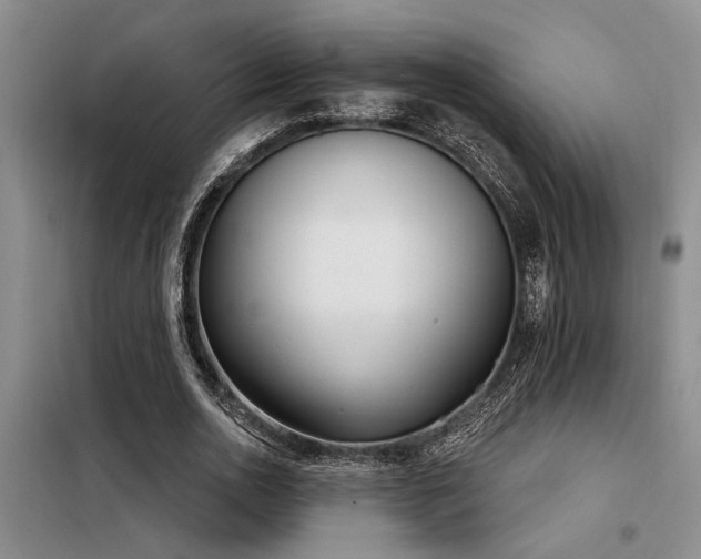 X0000098140726200804171546