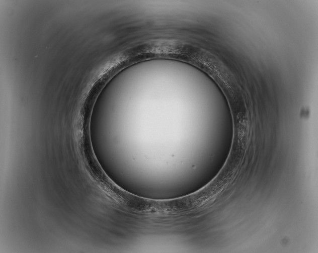 X0000098140727200804171546
