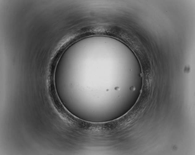X0000098140728200804171546
