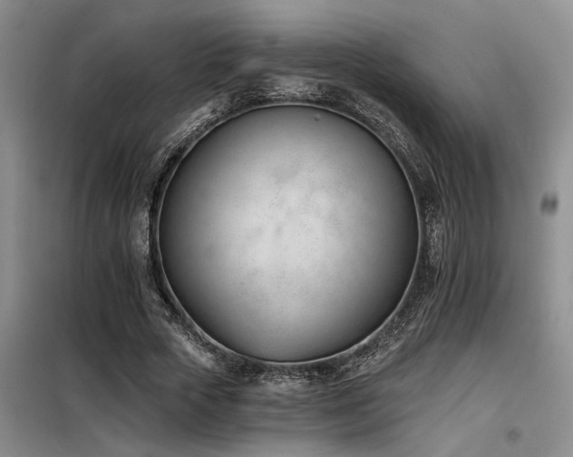 X0000098140729200804171546