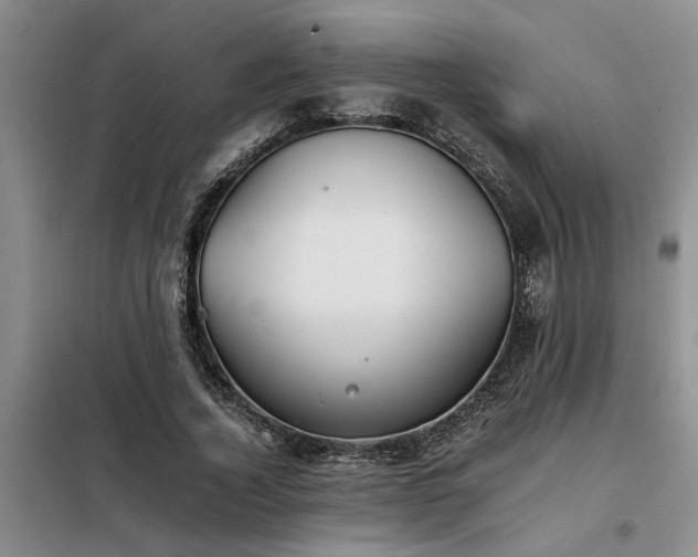 X0000098140732200804171546