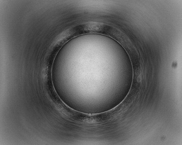 X0000098140735200804171546