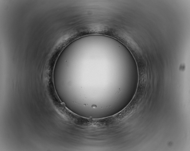 X0000098140736200804171546