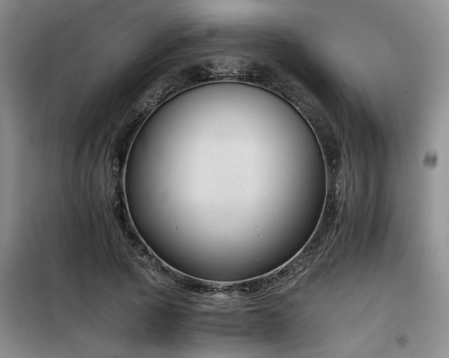 X0000098140737200804171546