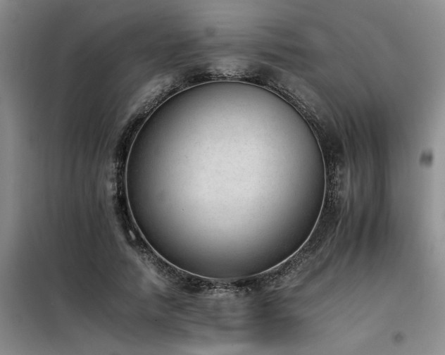X0000098140738200804171546