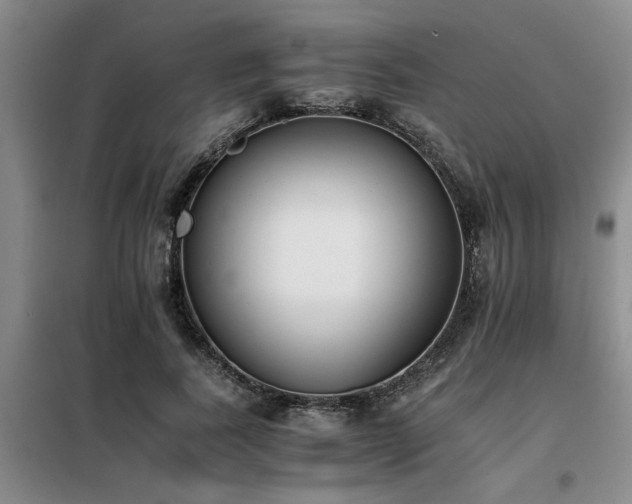 X0000098140739200804171546