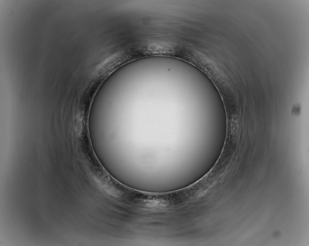 X0000098140741200804171546