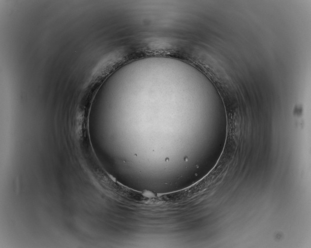 X0000098140742200804171546