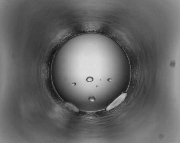 X0000098140743200804171546