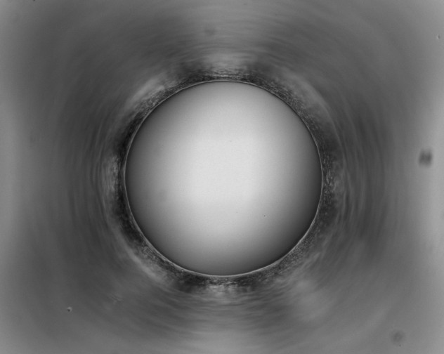 X0000098140744200804171546