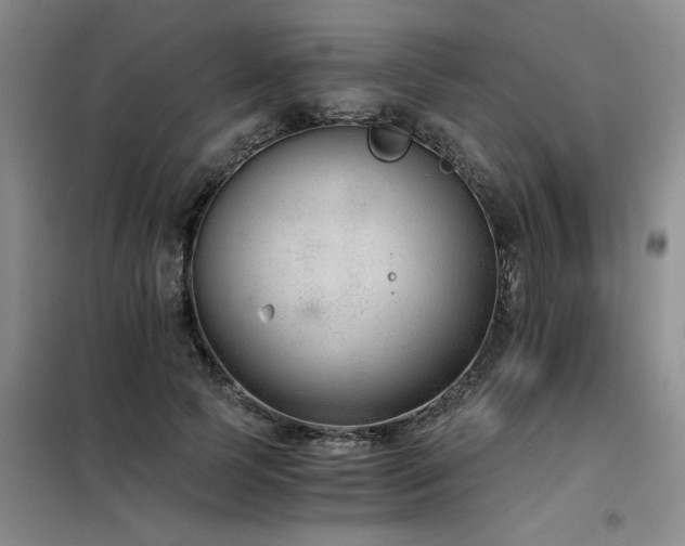 X0000098140745200804171547