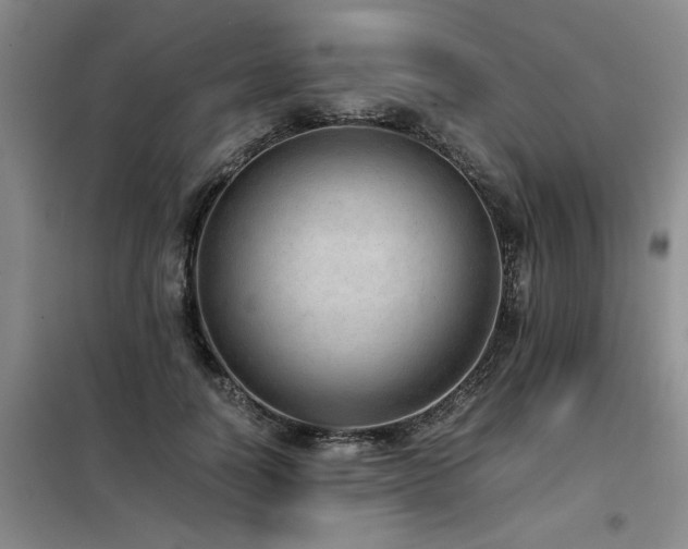 X0000098140746200804171547