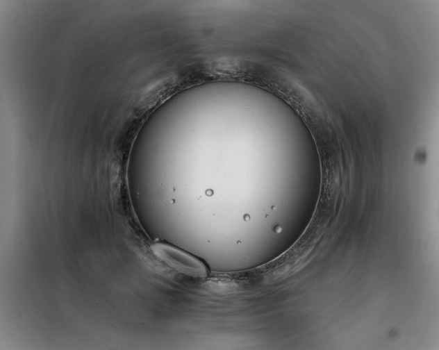 X0000098140749200804171547