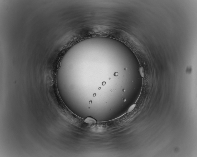 X0000098140751200804171547