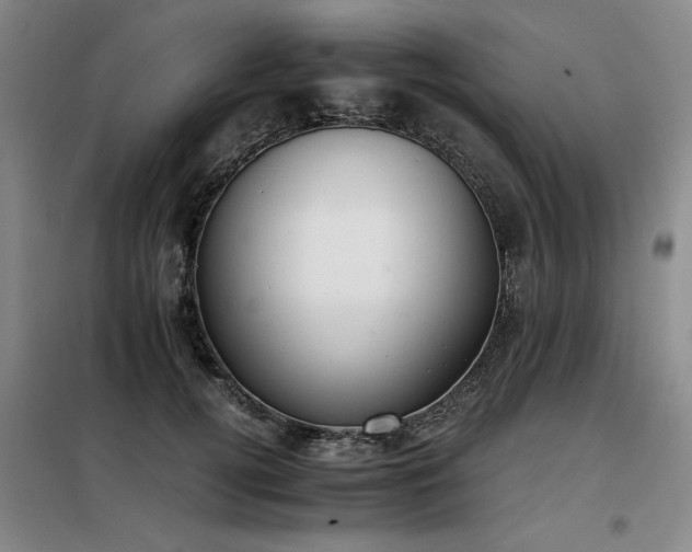 X0000098140752200804171547