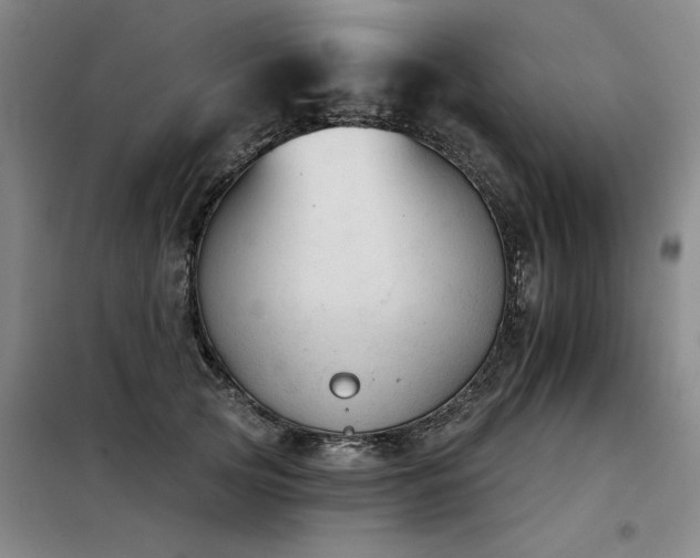 X0000098140753200804171547