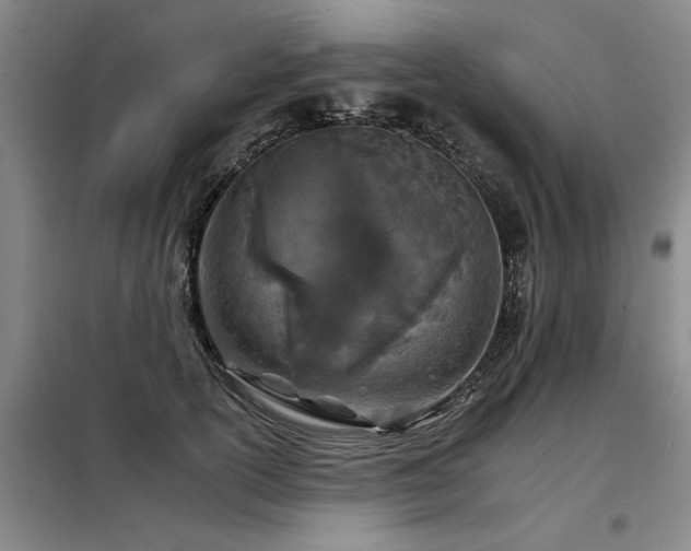 X0000098140754200804171547