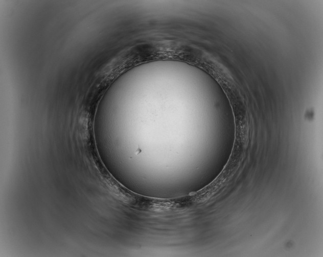 X0000098140757200804171547