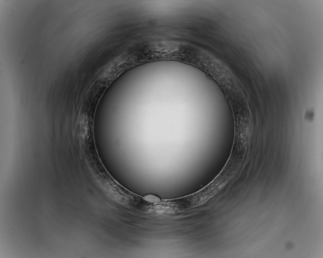 X0000098140758200804171547