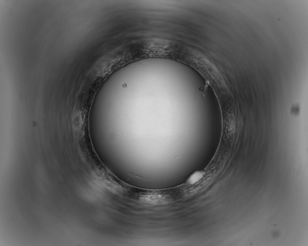 X0000098140759200804171547