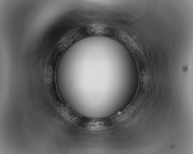 X0000098140760200804171547