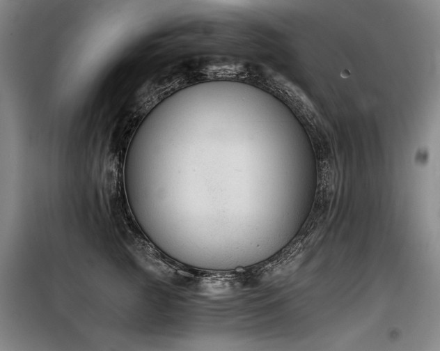 X0000098140761200804171547
