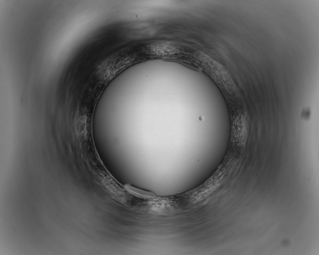 X0000098140762200804171547