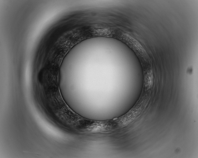 X0000098140764200804171547