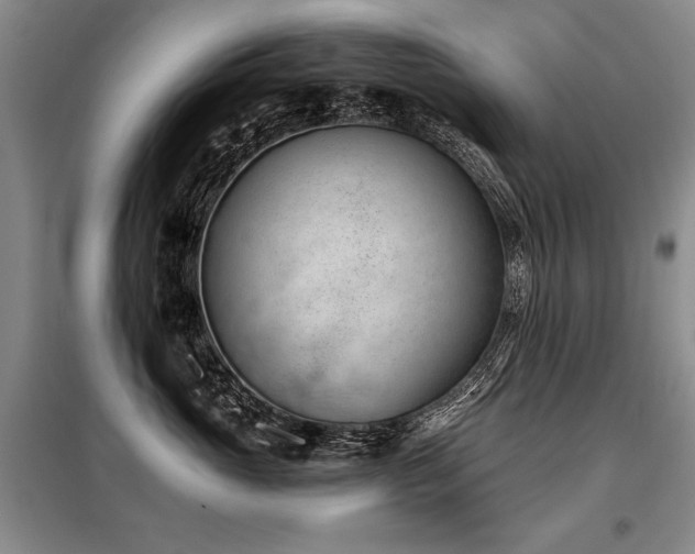 X0000098140765200804171547