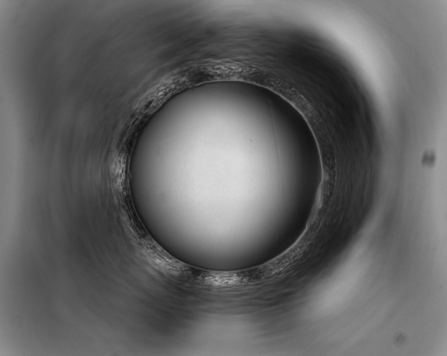 X0000098140767200804171547