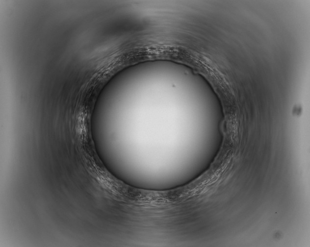 X0000098140770200804171546