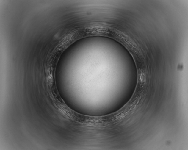 X0000098140771200804171546