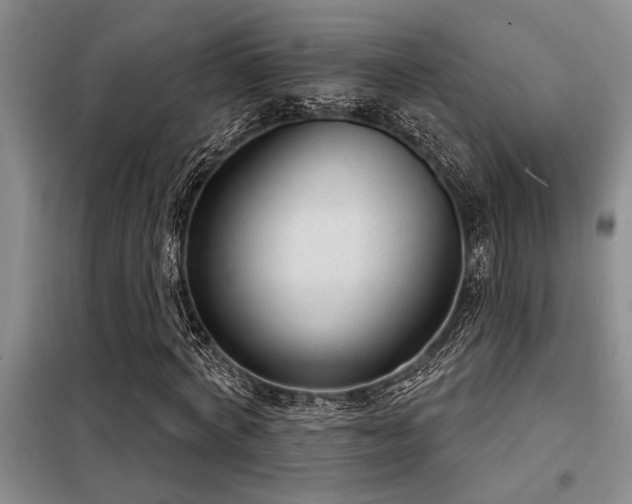 X0000098140772200804171546