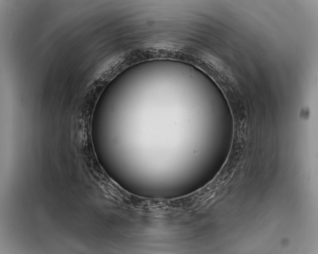 X0000098140774200804171546