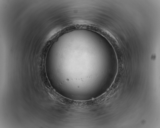 X0000098140775200804171546