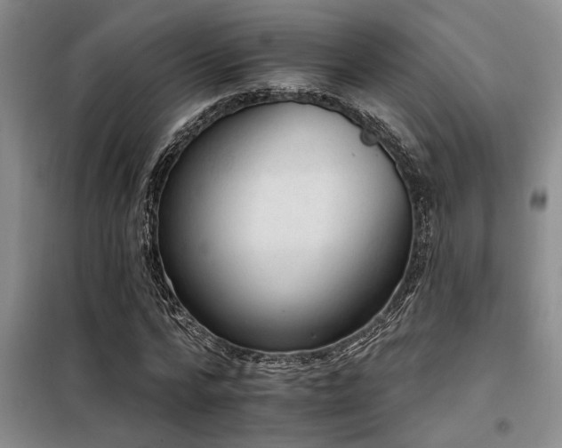 X0000098140776200804171546