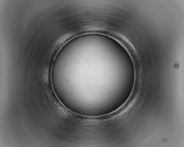X0000098140777200804171546