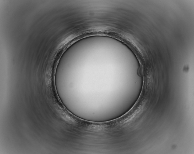 X0000098140778200804171546