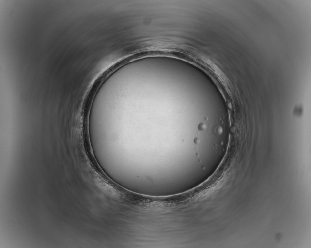 X0000098140779200804171546