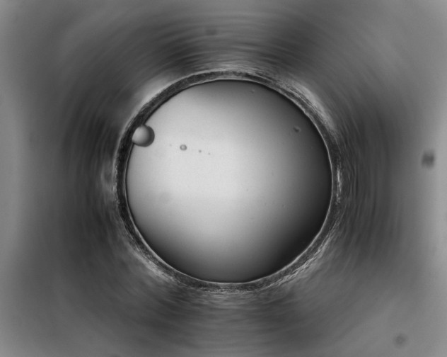 X0000098140780200804171546