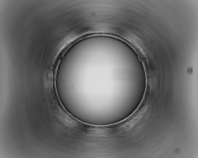 X0000098140781200804171546