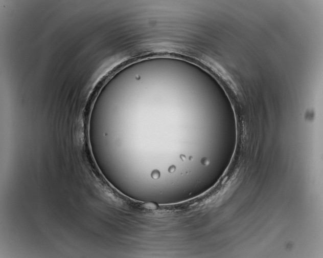 X0000098140782200804171546