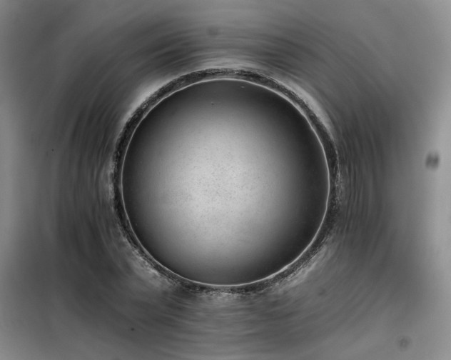 X0000098140783200804171546