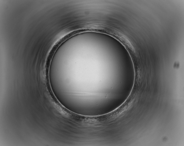 X0000098140784200804171546