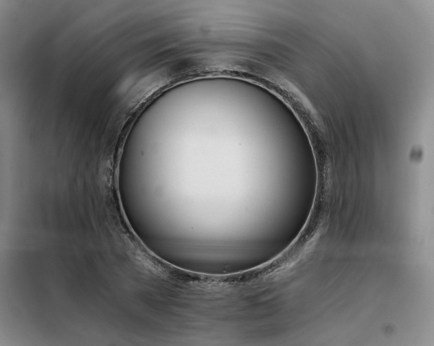 X0000098140785200804171546