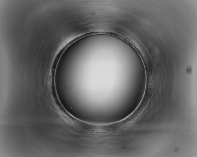 X0000098140787200804171546