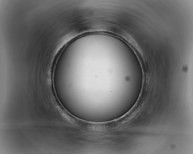 X0000098140789200804171546