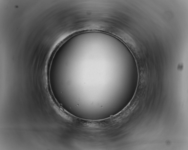 X0000098140792200804171546