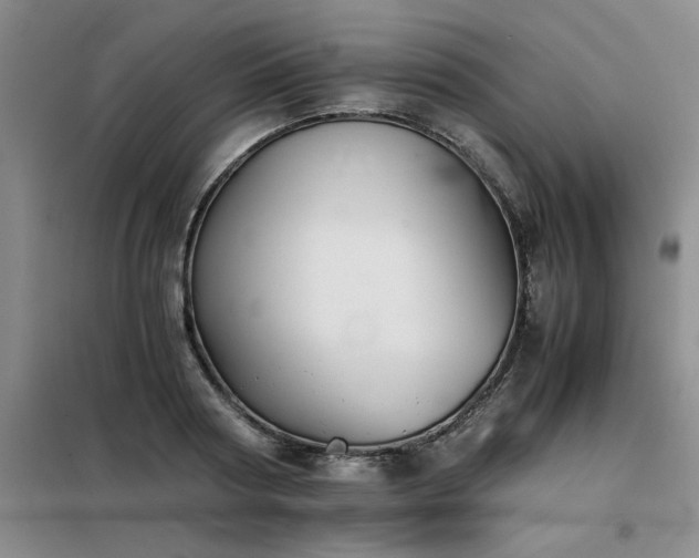 X0000098140794200804171546