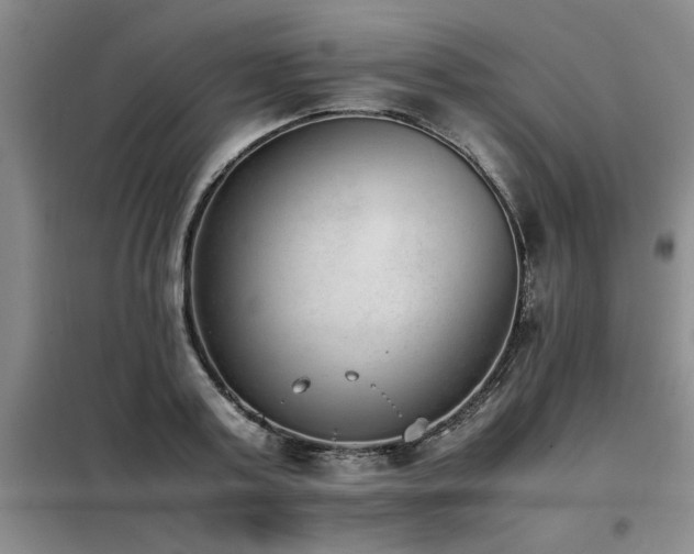 X0000098140795200804171546
